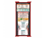 WhiteCoat Clipboard® Trifold - Red Physical Therapy Edition